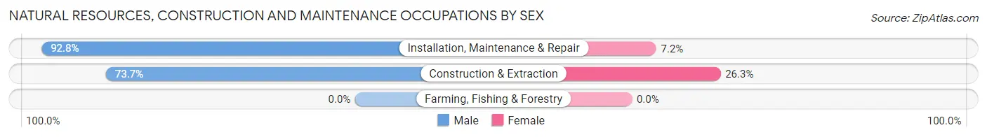 Natural Resources, Construction and Maintenance Occupations by Sex in Zip Code 35127