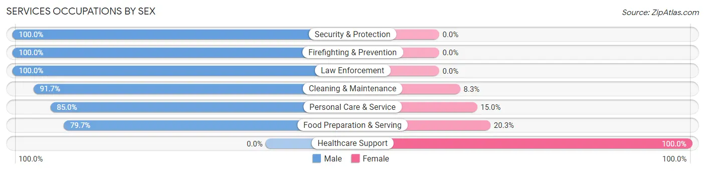 Services Occupations by Sex in Zip Code 35670