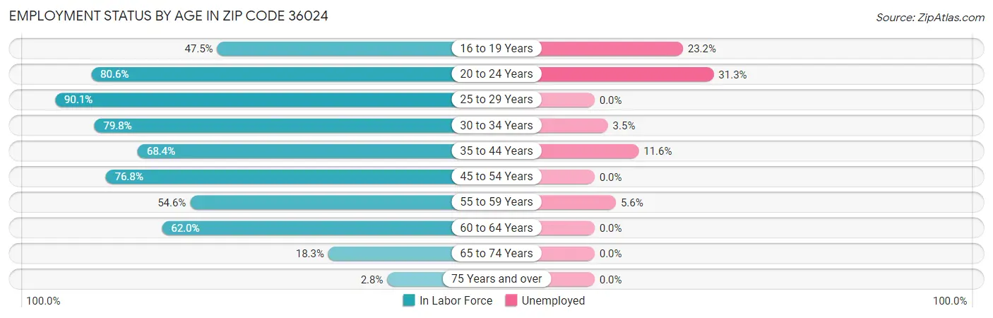 Employment Status by Age in Zip Code 36024