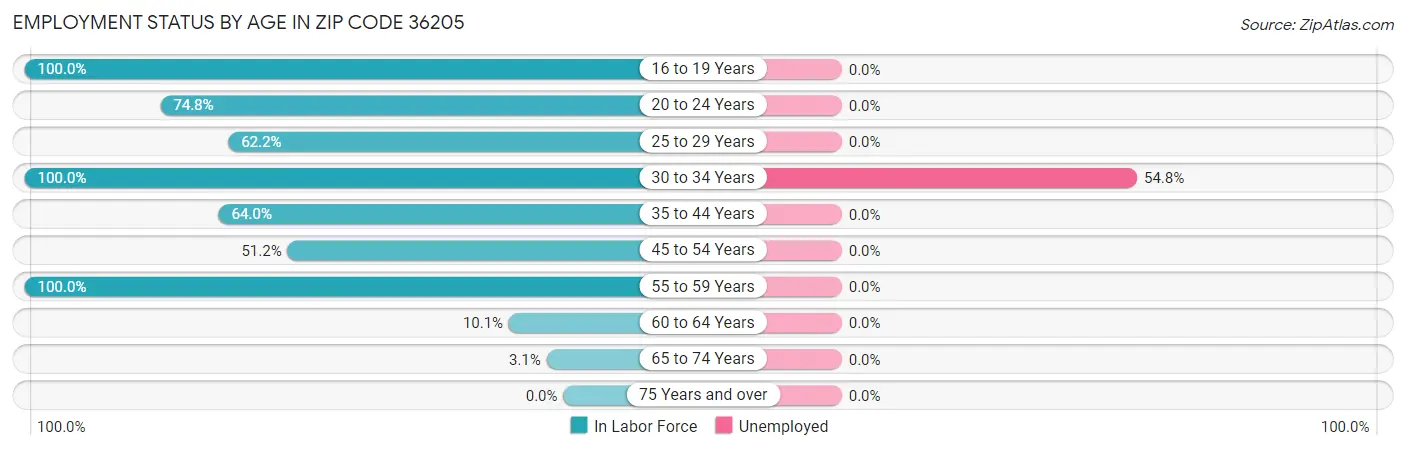Employment Status by Age in Zip Code 36205