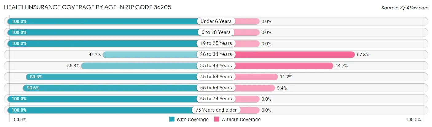Health Insurance Coverage by Age in Zip Code 36205