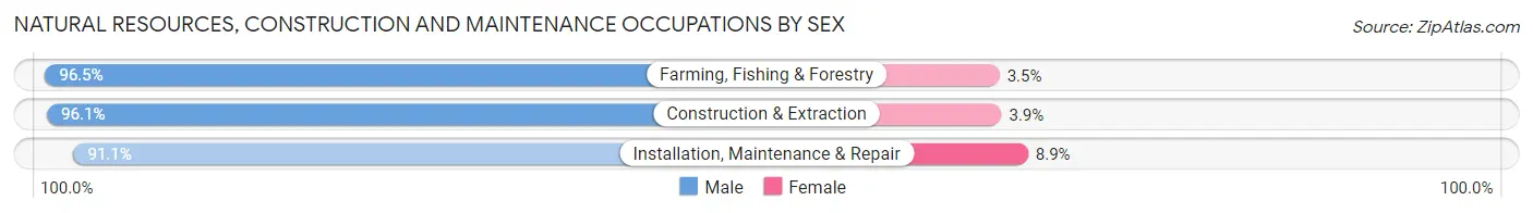 Natural Resources, Construction and Maintenance Occupations by Sex in Zip Code 36207
