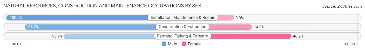 Natural Resources, Construction and Maintenance Occupations by Sex in Zip Code 36273