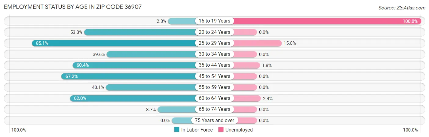 Employment Status by Age in Zip Code 36907