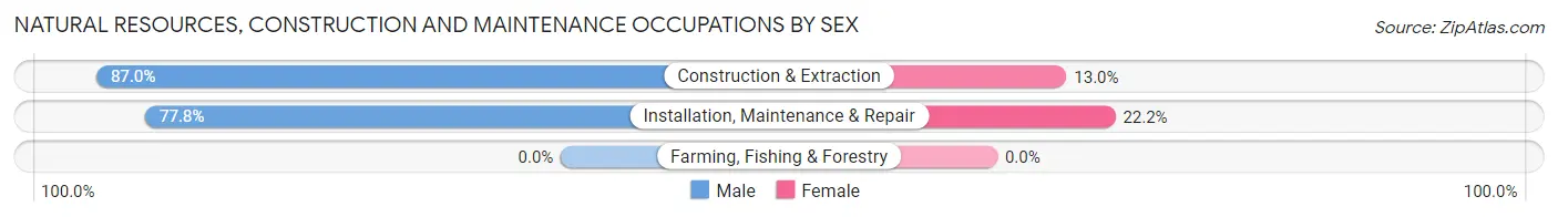 Natural Resources, Construction and Maintenance Occupations by Sex in Zip Code 37058