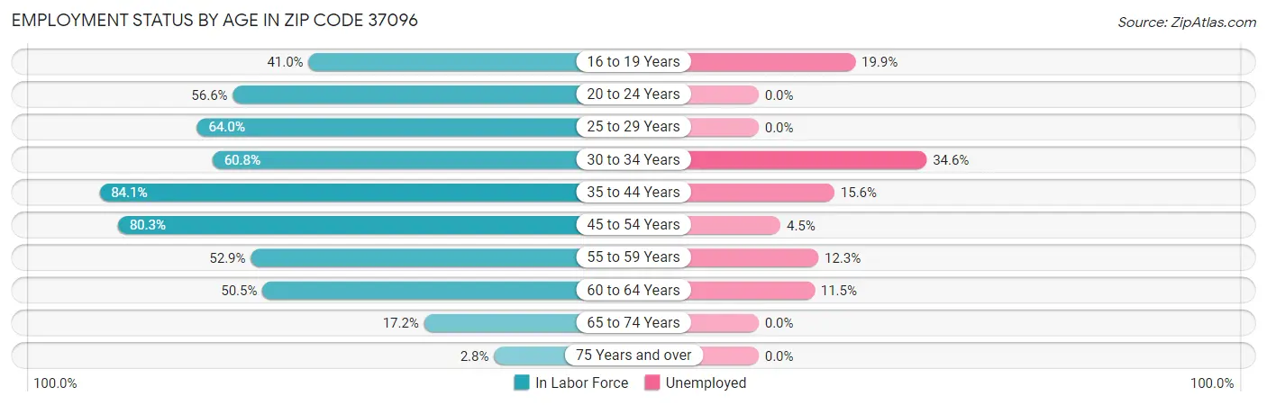 Employment Status by Age in Zip Code 37096