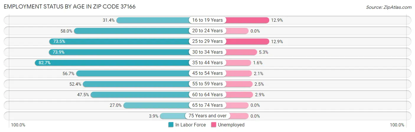Employment Status by Age in Zip Code 37166
