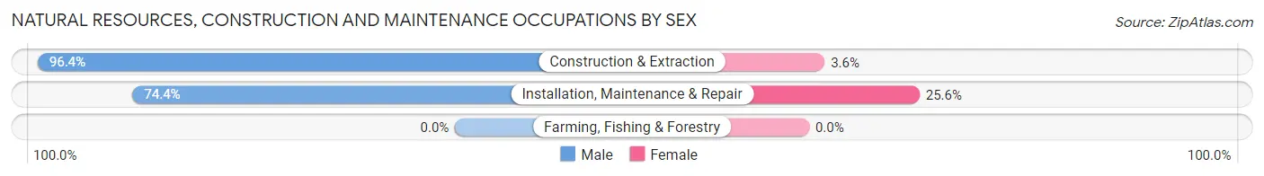 Natural Resources, Construction and Maintenance Occupations by Sex in Zip Code 37203