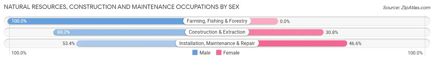 Natural Resources, Construction and Maintenance Occupations by Sex in Zip Code 37216