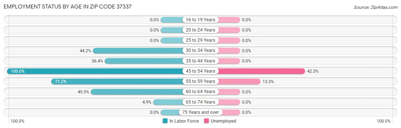 Employment Status by Age in Zip Code 37337