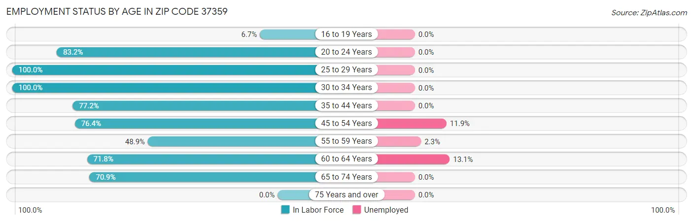 Employment Status by Age in Zip Code 37359
