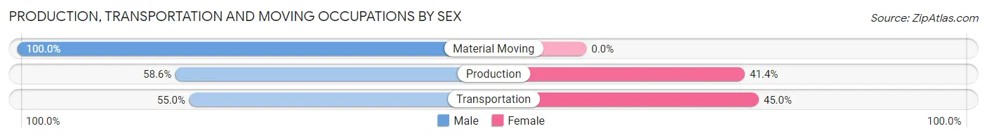 Production, Transportation and Moving Occupations by Sex in Zip Code 37409