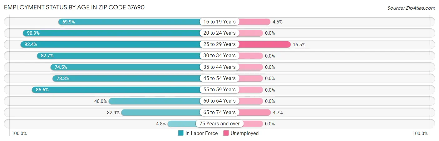 Employment Status by Age in Zip Code 37690