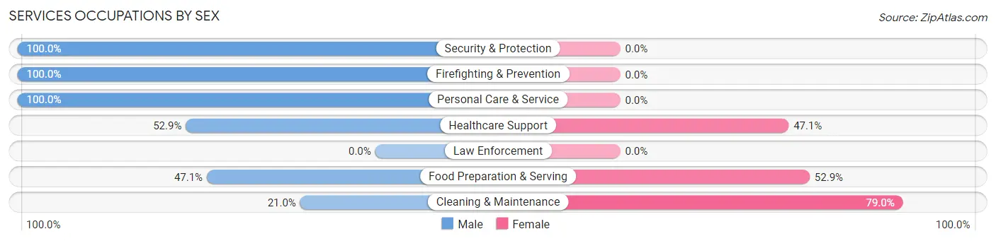 Services Occupations by Sex in Zip Code 37694