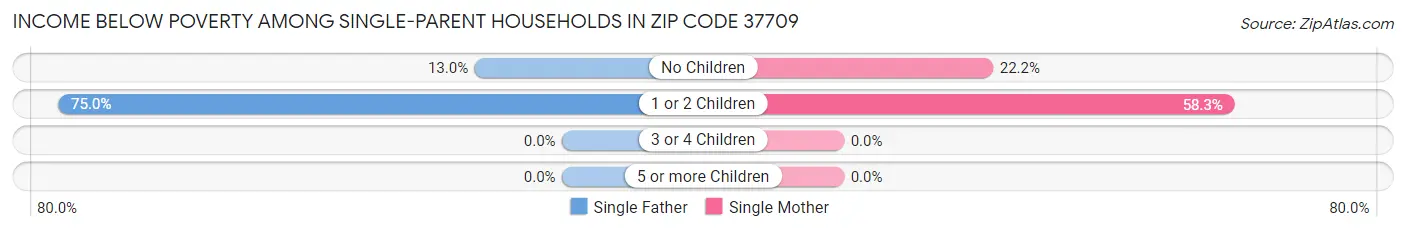Income Below Poverty Among Single-Parent Households in Zip Code 37709