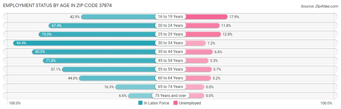 Employment Status by Age in Zip Code 37874