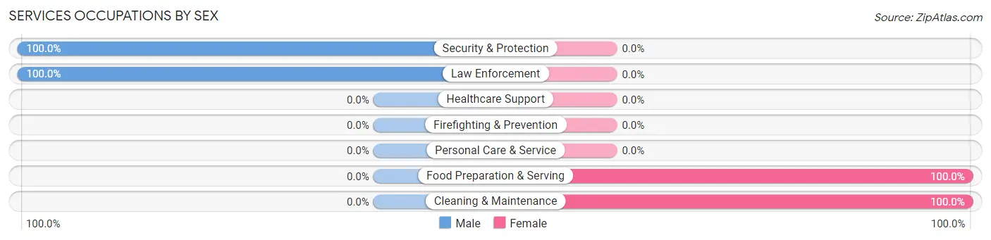 Services Occupations by Sex in Zip Code 37878