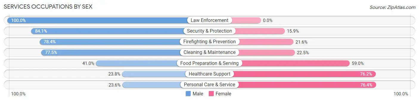 Services Occupations by Sex in Zip Code 37931
