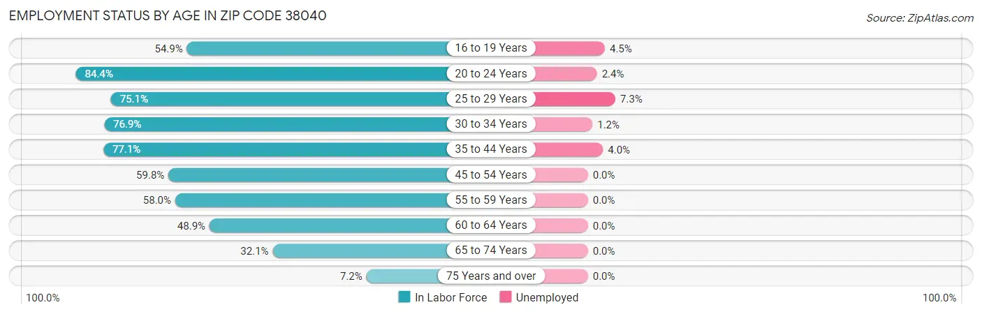 Employment Status by Age in Zip Code 38040