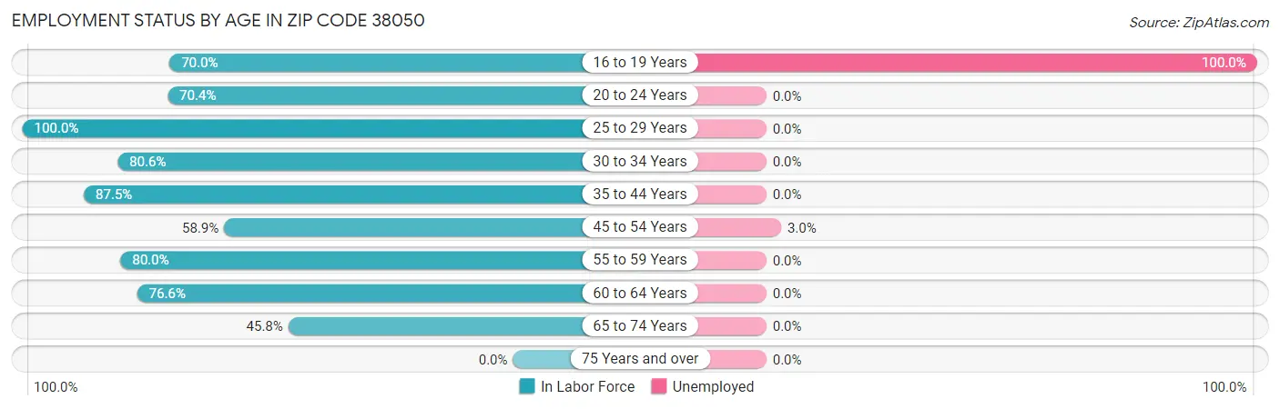 Employment Status by Age in Zip Code 38050
