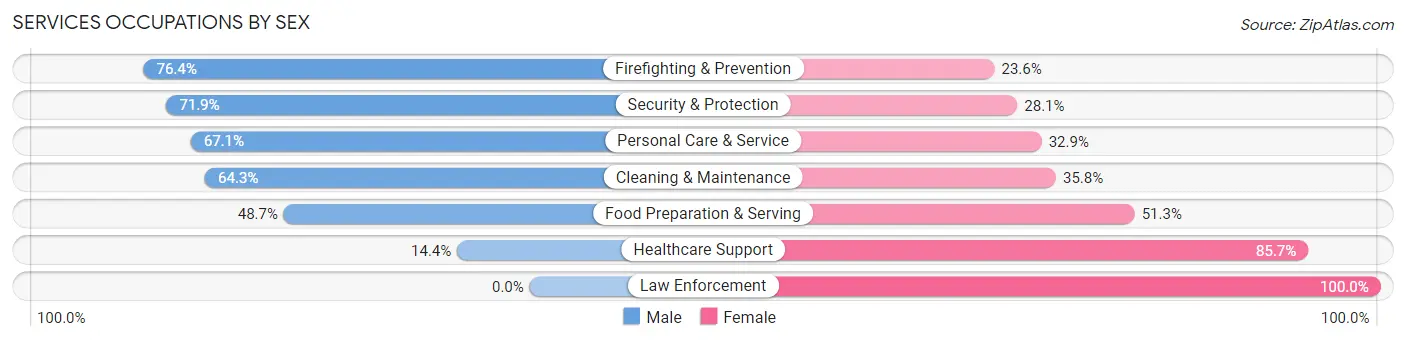 Services Occupations by Sex in Zip Code 38106