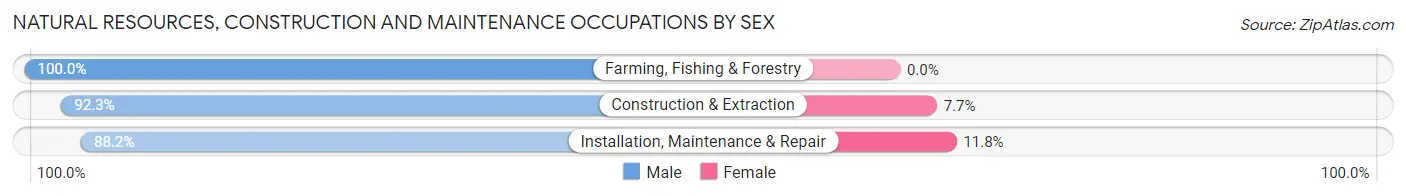 Natural Resources, Construction and Maintenance Occupations by Sex in Zip Code 38118