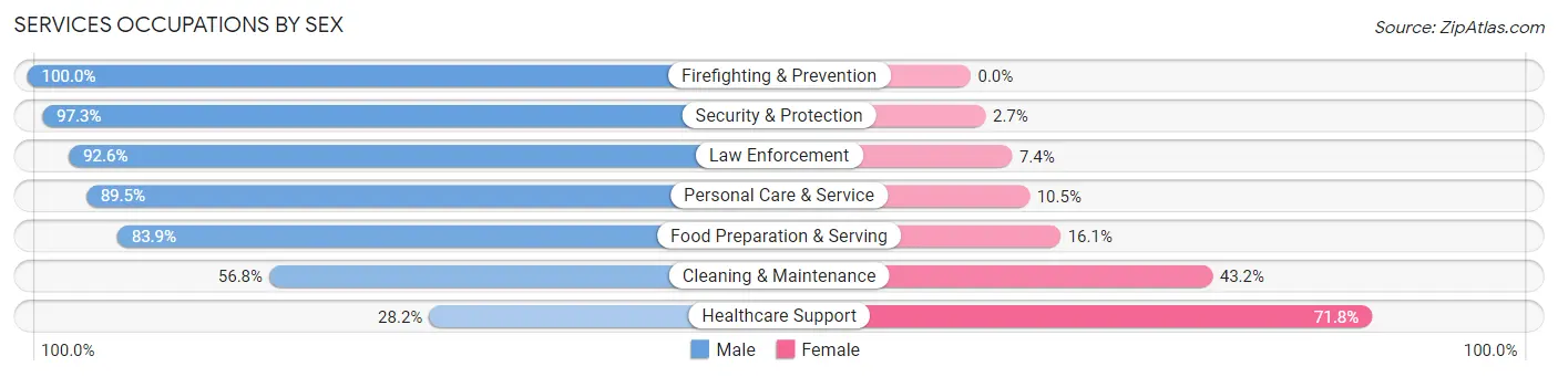 Services Occupations by Sex in Zip Code 38119