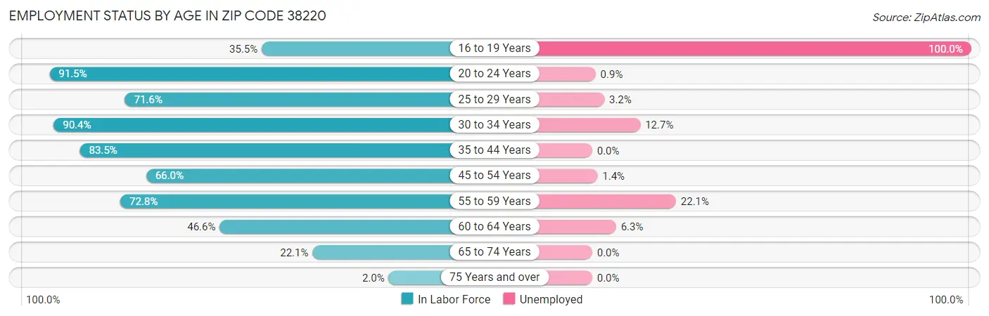 Employment Status by Age in Zip Code 38220