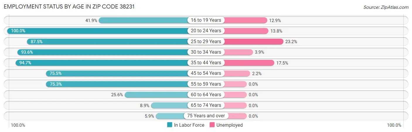 Employment Status by Age in Zip Code 38231