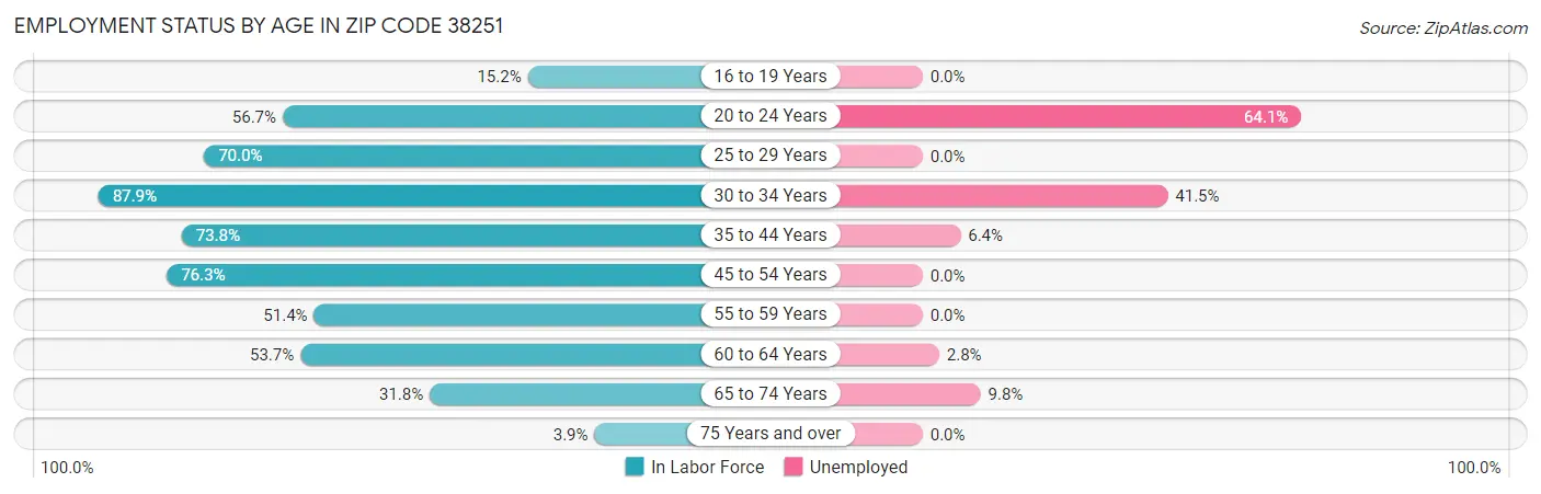 Employment Status by Age in Zip Code 38251