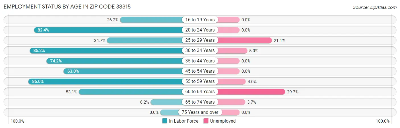 Employment Status by Age in Zip Code 38315