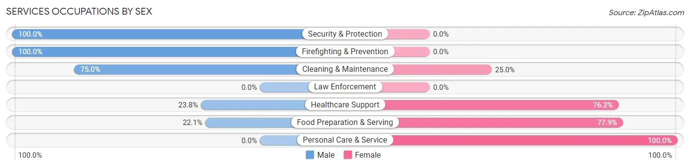Services Occupations by Sex in Zip Code 38316