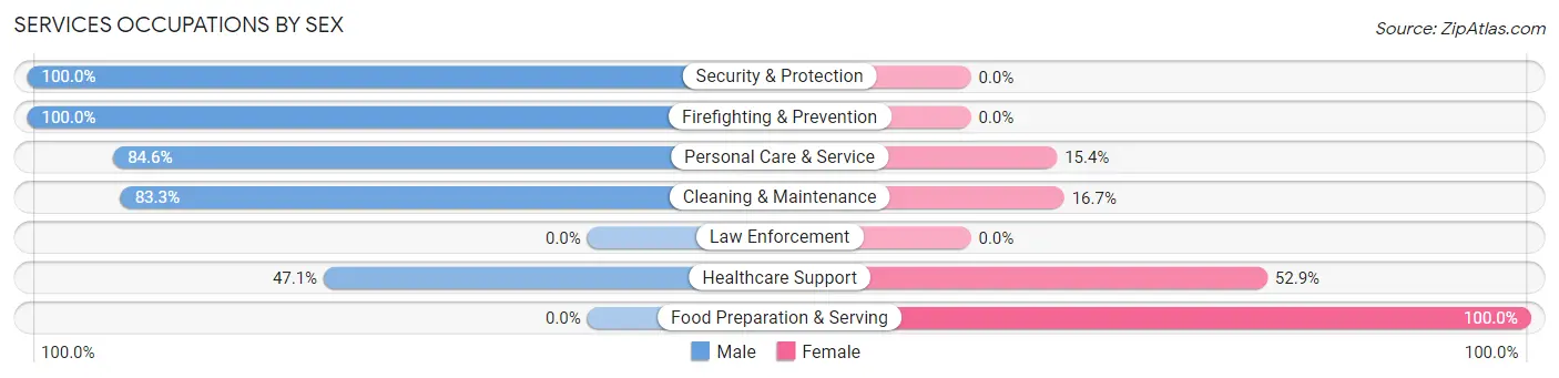 Services Occupations by Sex in Zip Code 38339