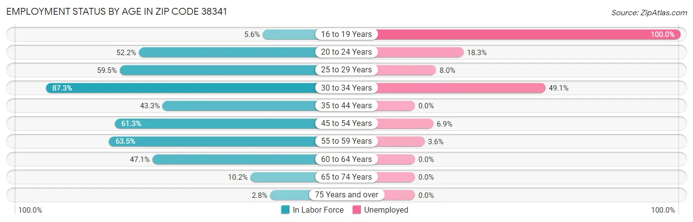 Employment Status by Age in Zip Code 38341
