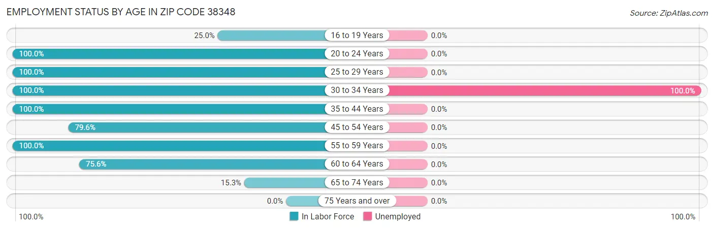 Employment Status by Age in Zip Code 38348