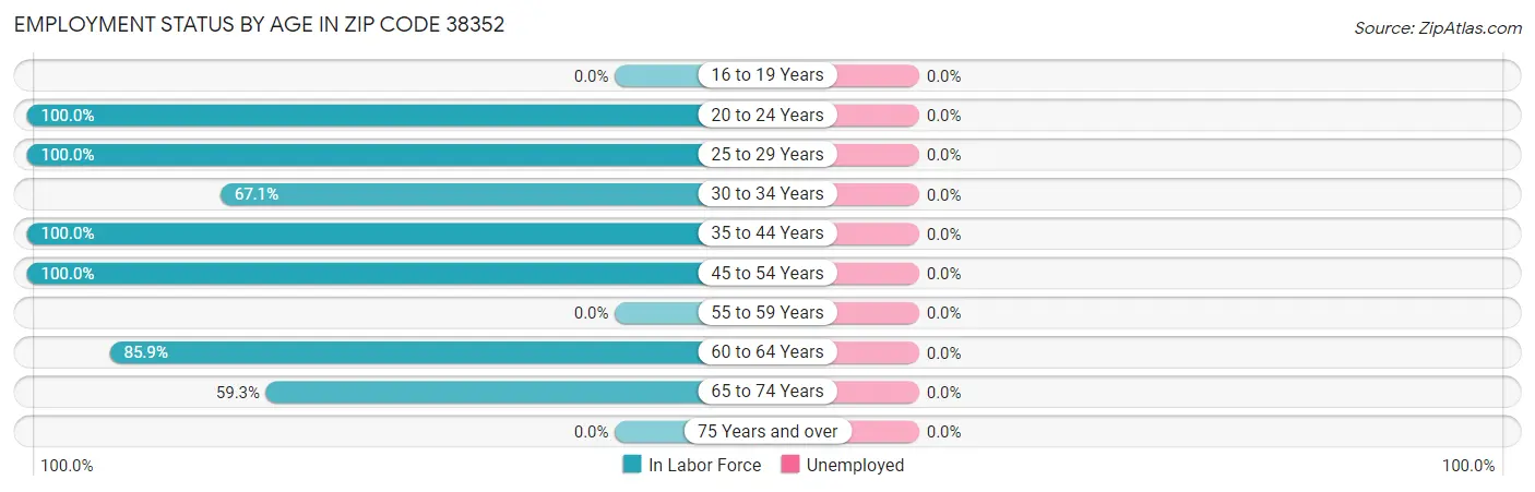 Employment Status by Age in Zip Code 38352
