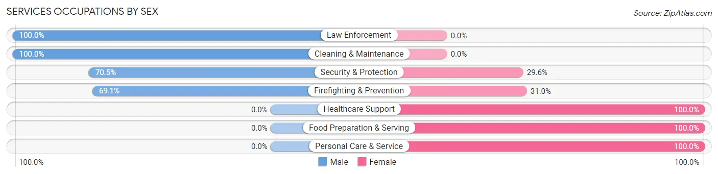 Services Occupations by Sex in Zip Code 38356