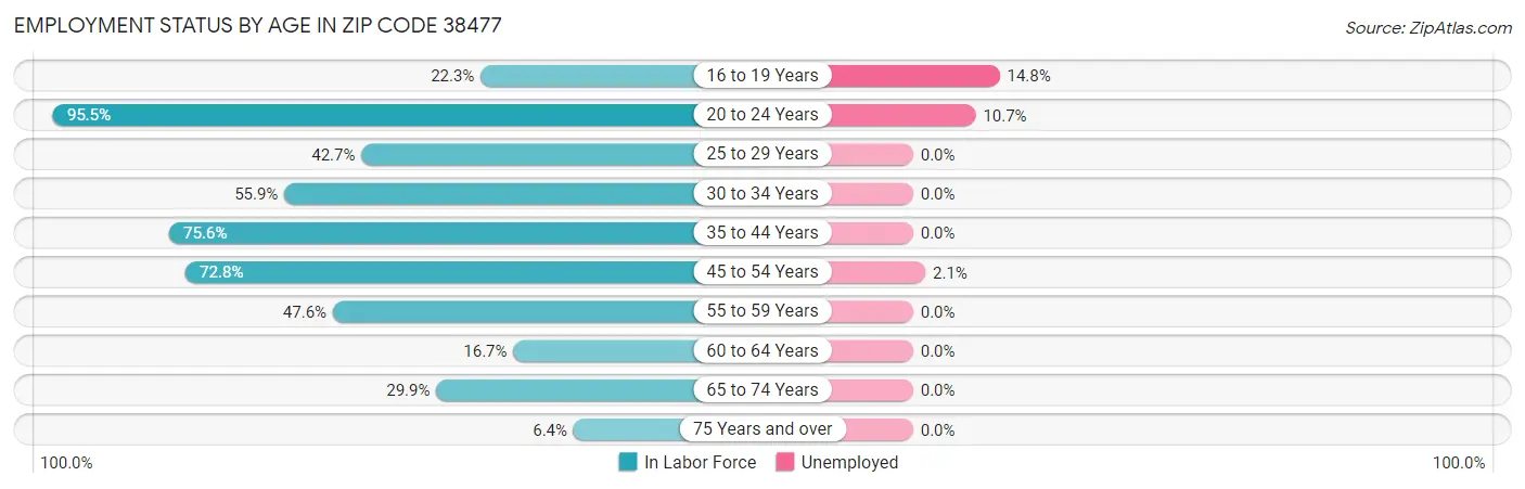 Employment Status by Age in Zip Code 38477