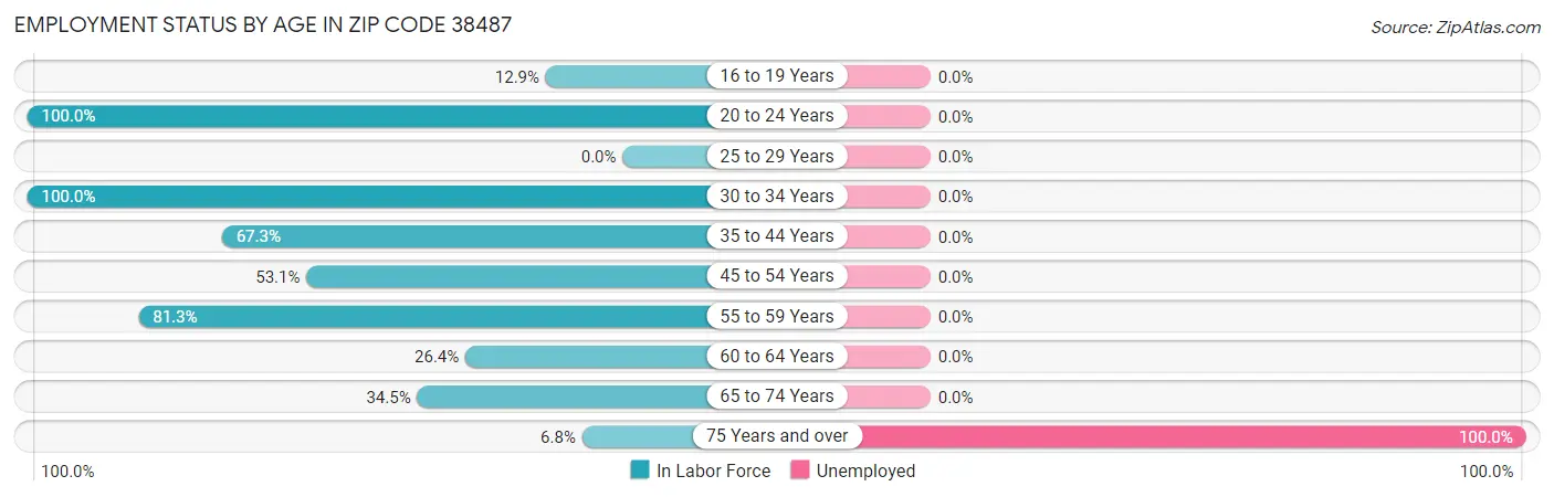 Employment Status by Age in Zip Code 38487