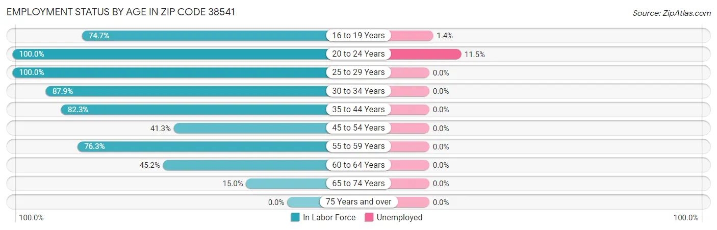 Employment Status by Age in Zip Code 38541