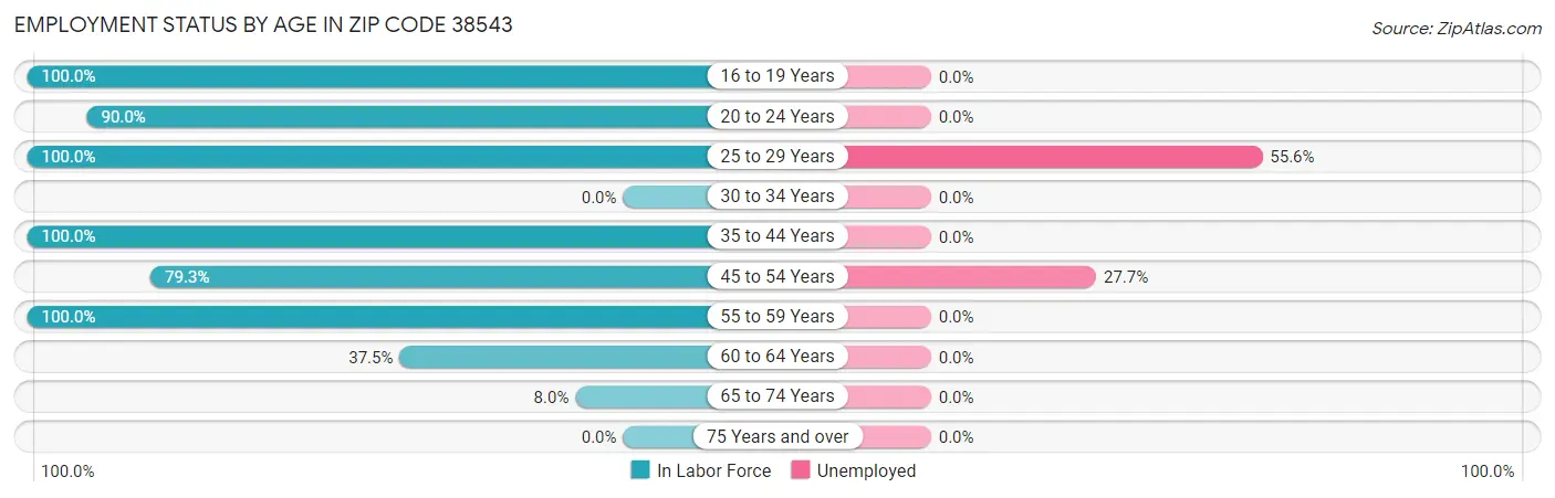 Employment Status by Age in Zip Code 38543