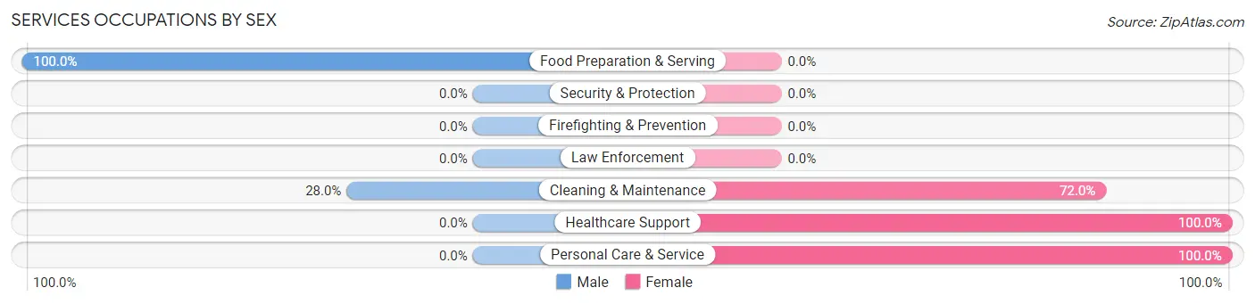 Services Occupations by Sex in Zip Code 38543