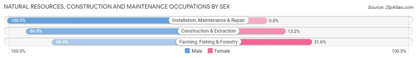 Natural Resources, Construction and Maintenance Occupations by Sex in Zip Code 38555