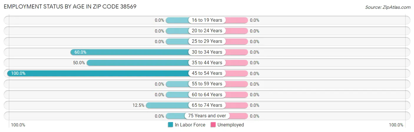 Employment Status by Age in Zip Code 38569