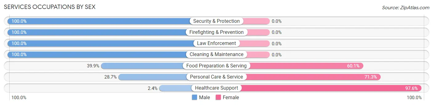 Services Occupations by Sex in Zip Code 38606