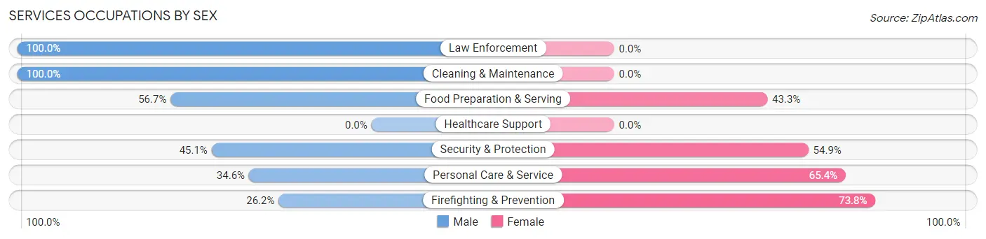 Services Occupations by Sex in Zip Code 38664