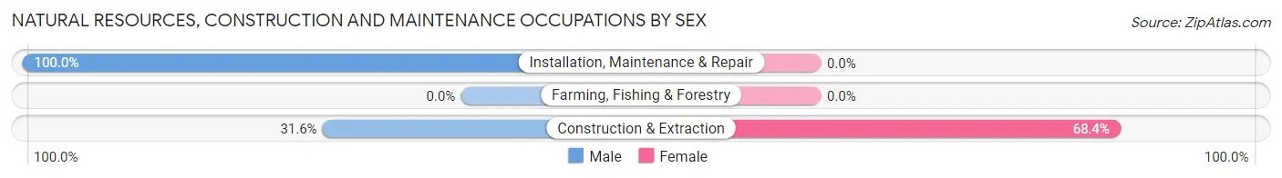 Natural Resources, Construction and Maintenance Occupations by Sex in Zip Code 38673