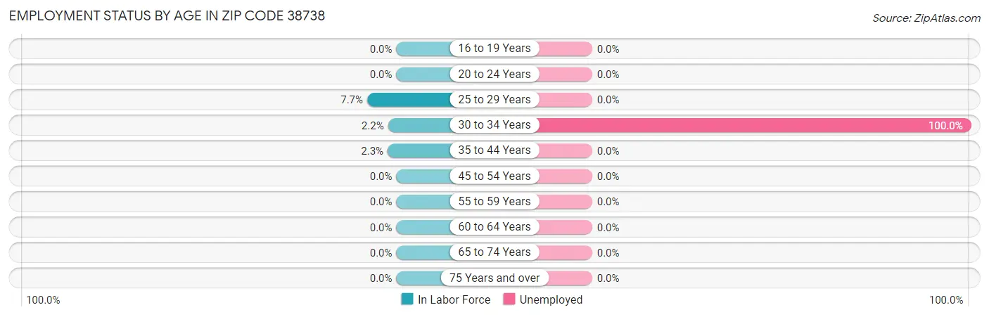 Employment Status by Age in Zip Code 38738