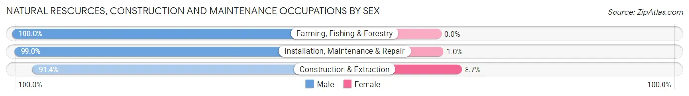 Natural Resources, Construction and Maintenance Occupations by Sex in Zip Code 38801