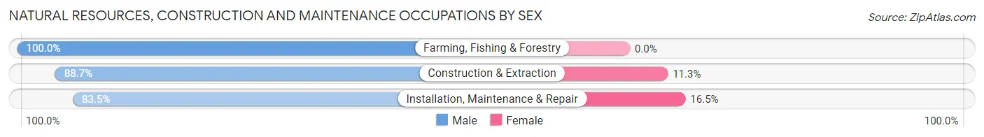 Natural Resources, Construction and Maintenance Occupations by Sex in Zip Code 38804